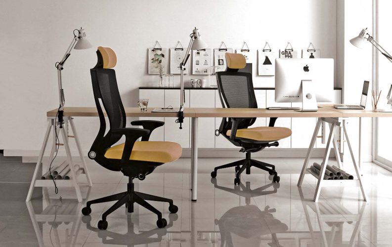 AREAS-XT-Collection-by-Cadeinoryh